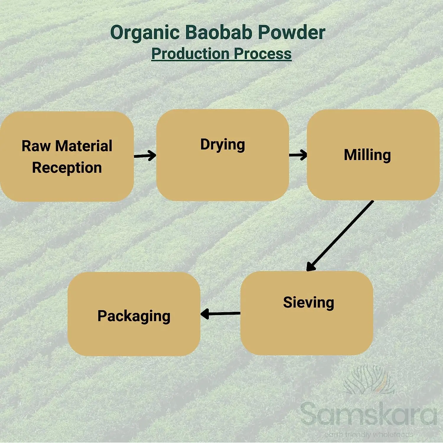 Baobab en polvo BIO 500g – 100% puro y natural, calidad premium - Imagen 5